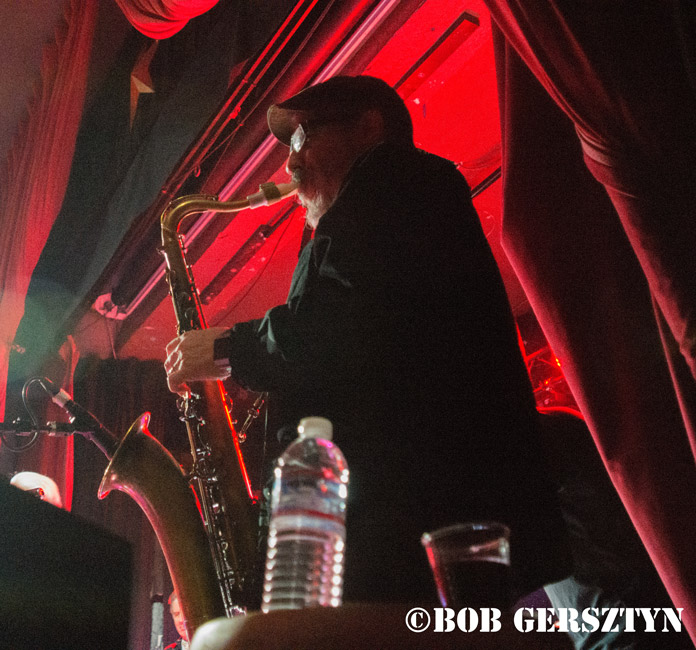 The FleshEaters, Star Theater, photo by Bob Gersztyn