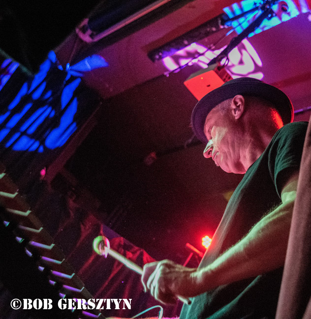 The FleshEaters, Star Theater, photo by Bob Gersztyn