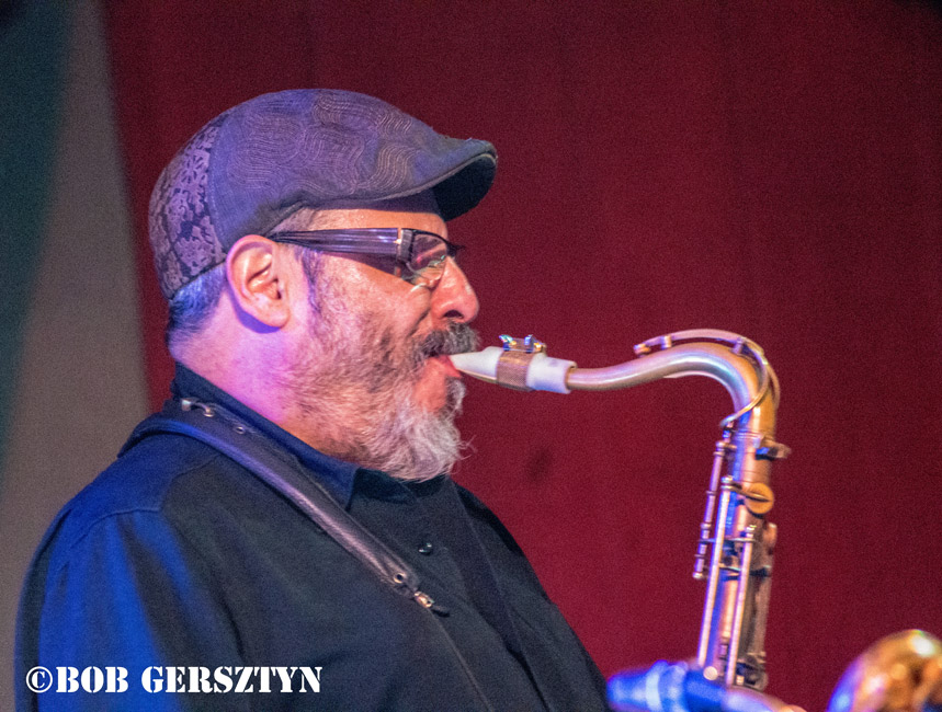 The FleshEaters, Star Theater, photo by Bob Gersztyn