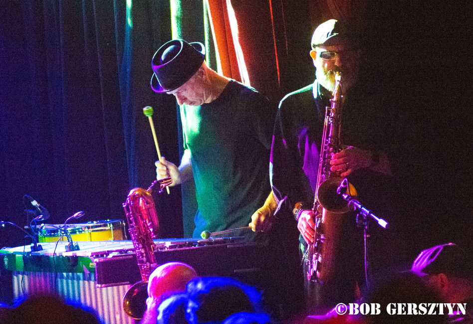 The FleshEaters, Star Theater, photo by Bob Gersztyn