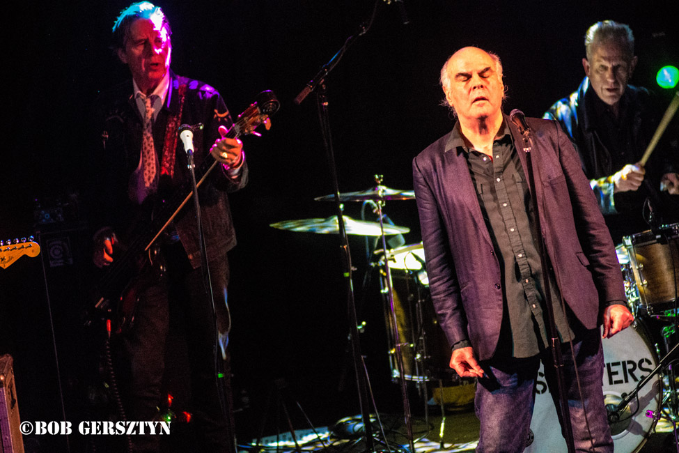 The FleshEaters, Star Theater, photo by Bob Gersztyn