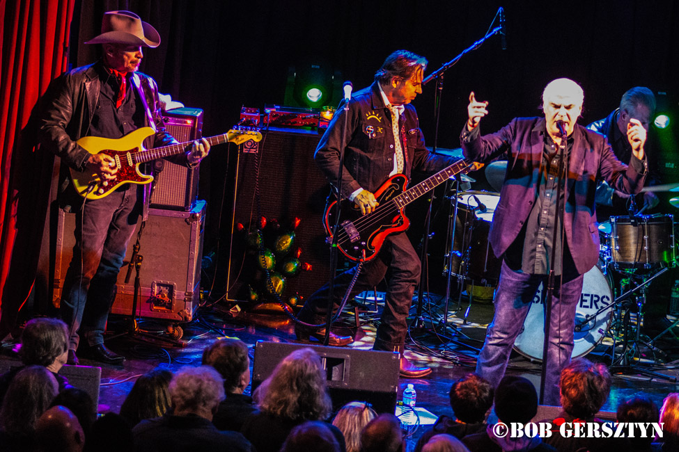 The FleshEaters, Star Theater, photo by Bob Gersztyn