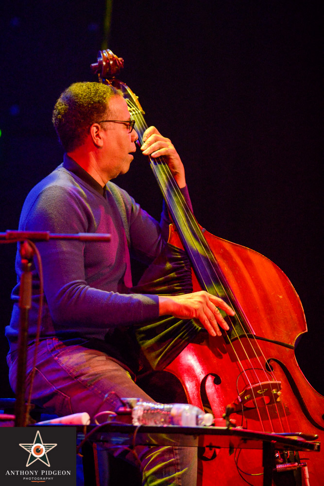 Stanley Clarke, Revolution Hall, PDX Jazz Festival, photo by Anthony Pidgeon