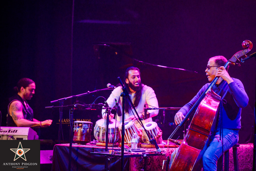 Stanley Clarke, Revolution Hall, PDX Jazz Festival, photo by Anthony Pidgeon