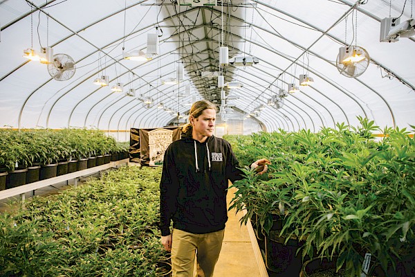 Patrick Pooler of Heroes of the Farm surveys his grow operation, which has financially supported numerous musicians over the years—photo by Jake Gravbrot