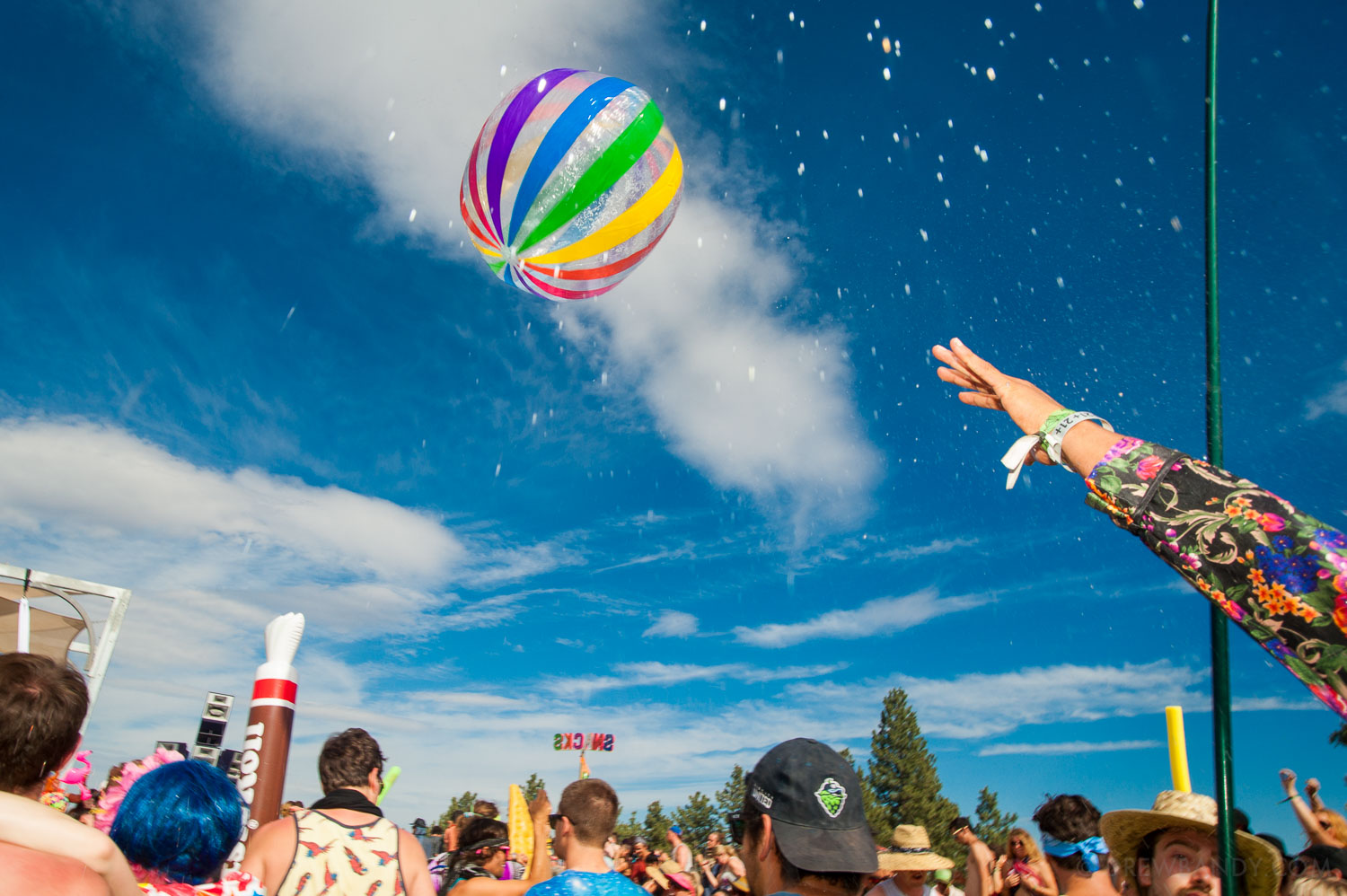 What The Festival, photo by Drew Bandy