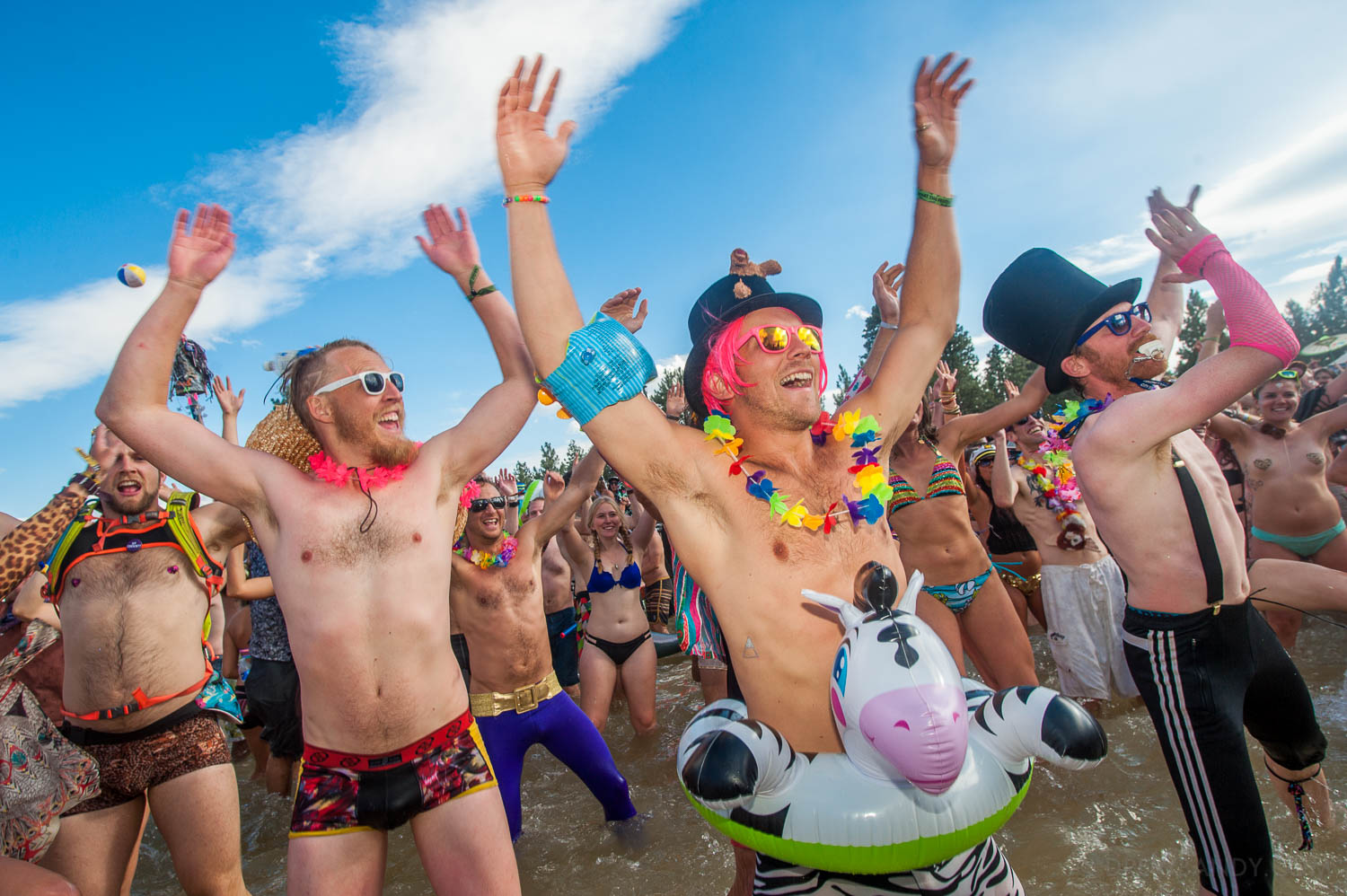 What The Festival, photo by Drew Bandy