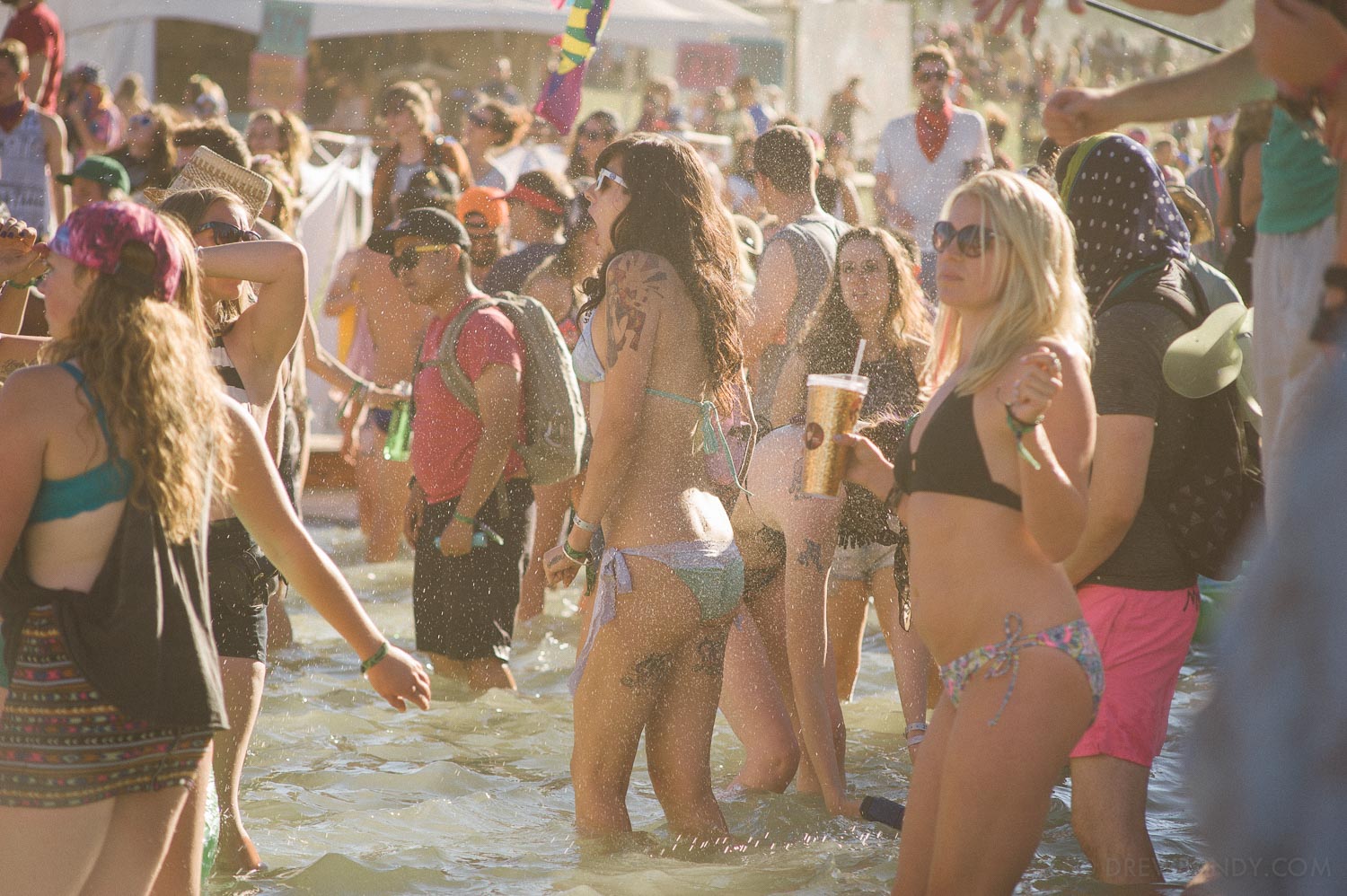 What The Festival, photo by Drew Bandy