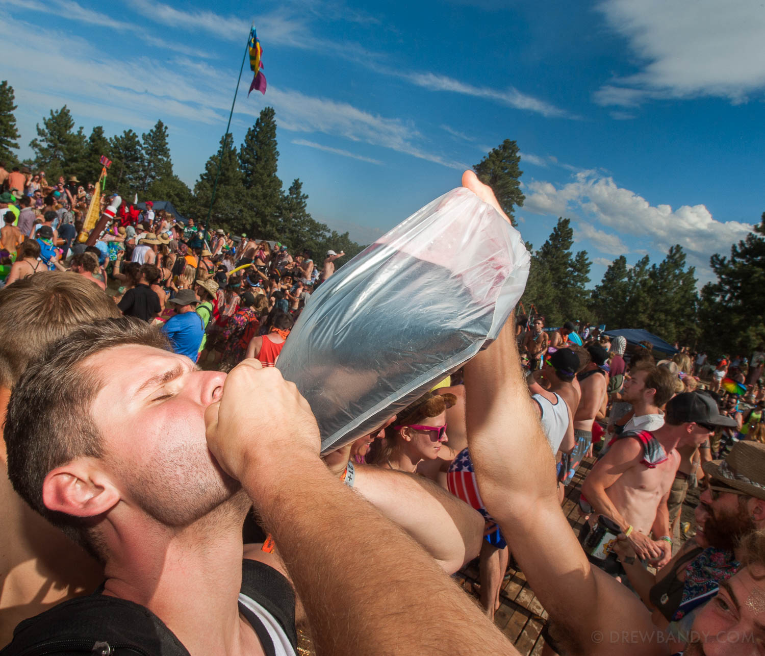 What The Festival, photo by Drew Bandy