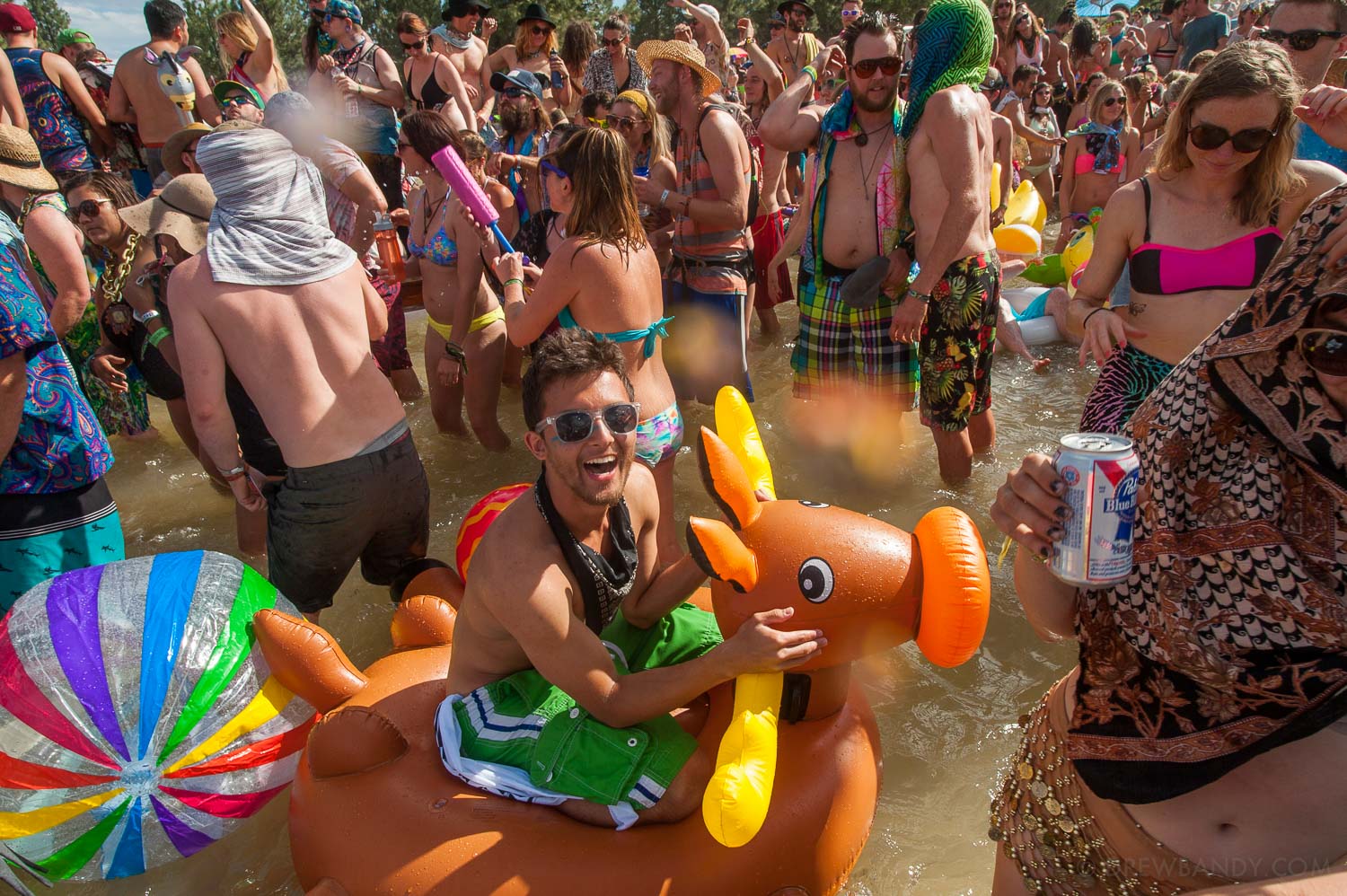 What The Festival, photo by Drew Bandy