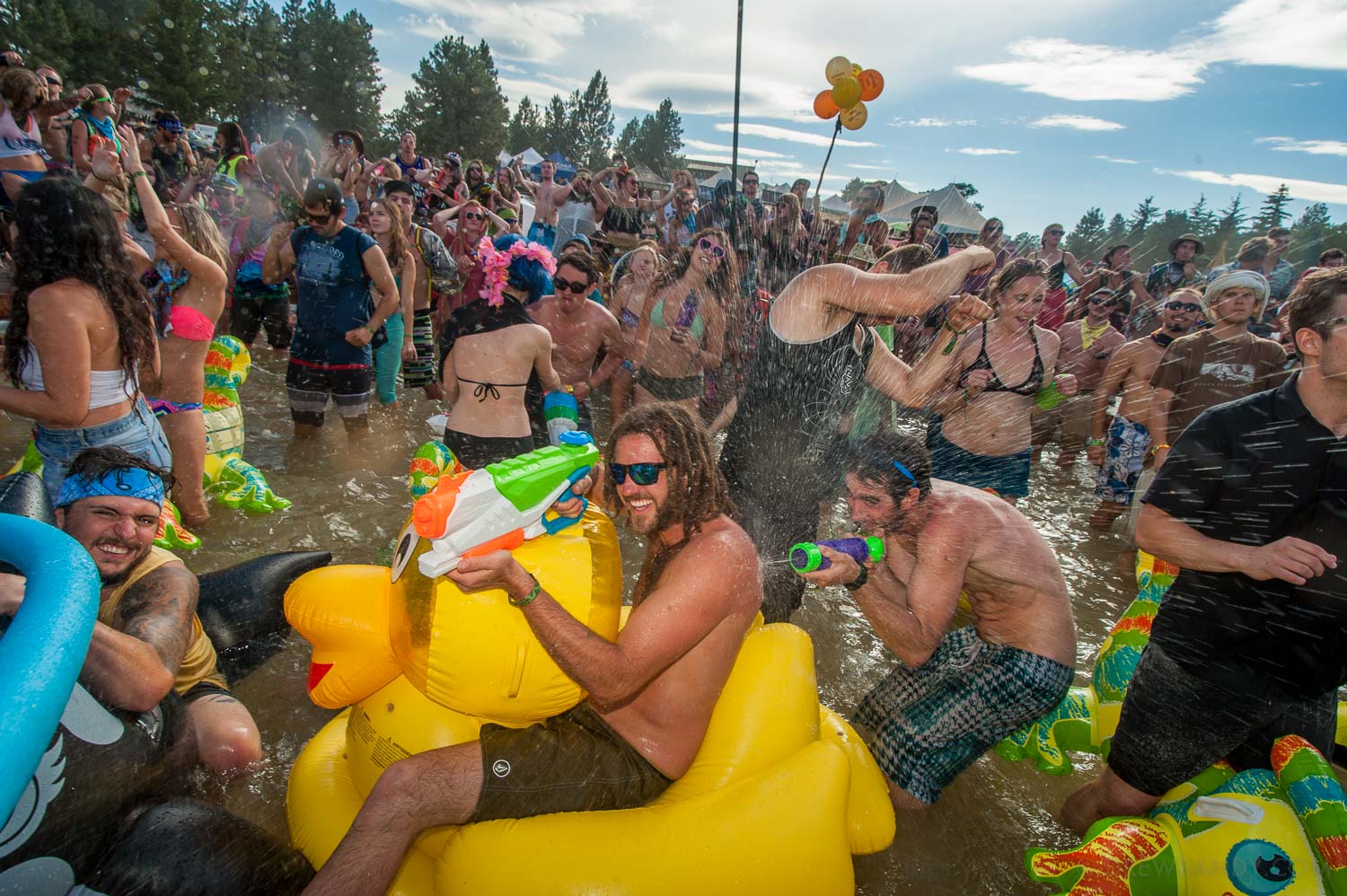 What The Festival, photo by Drew Bandy