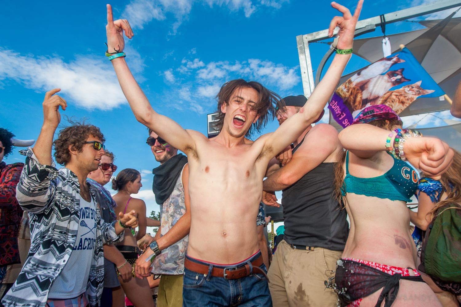 What The Festival, photo by Drew Bandy