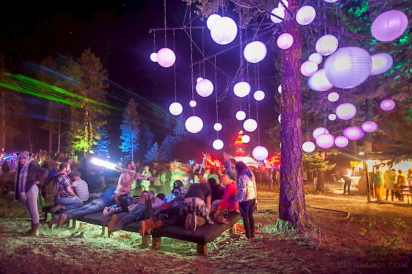 A scene from What The Festival's Illuminated Forest in 2015—click to see more photos by Drew Bandy