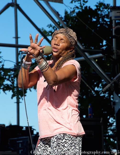 Waterfront Blues Festival, Tom McCall Waterfront Park, photo by John Alcala