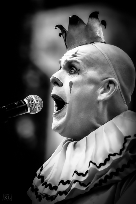 Puddles Pity Party, Pioneer Courthouse Square, photo by Kris Luke