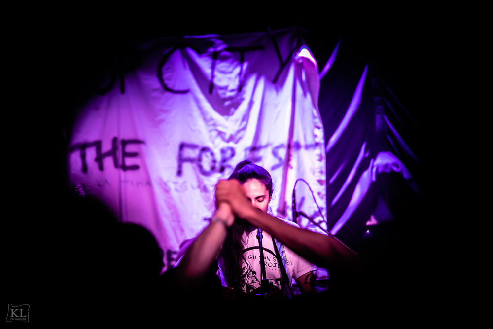 Apes of the State, Mission Theater, photo by Kris Luke