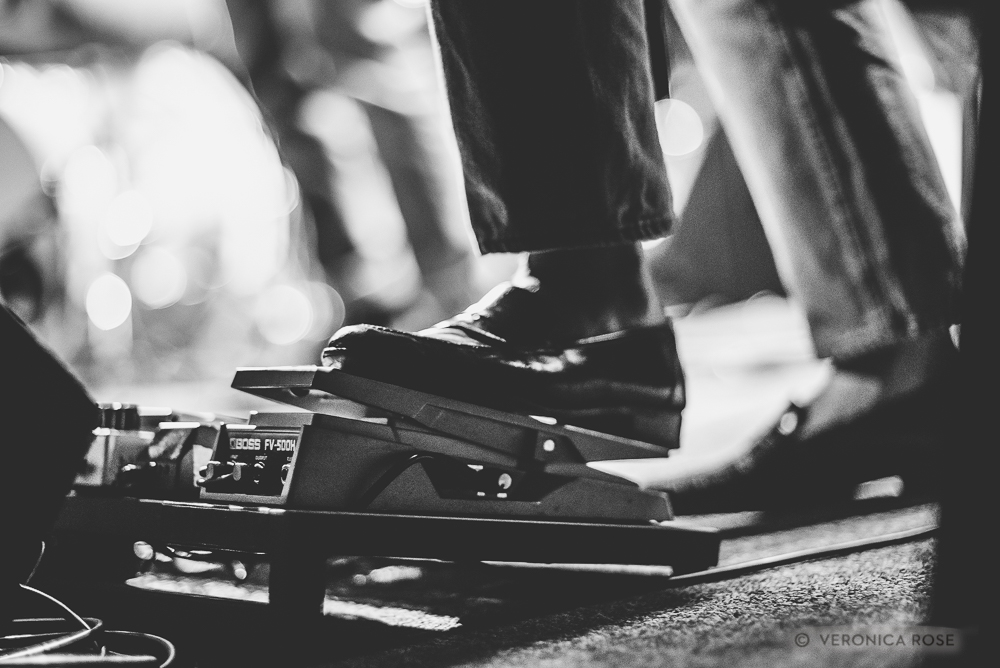 Vetiver, Mississippi Studios, photo by Veronica Rose