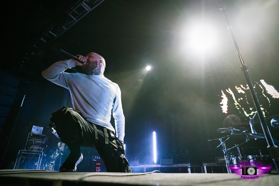 Aviana, Roseland Theater, photo by Joshua Hathaway