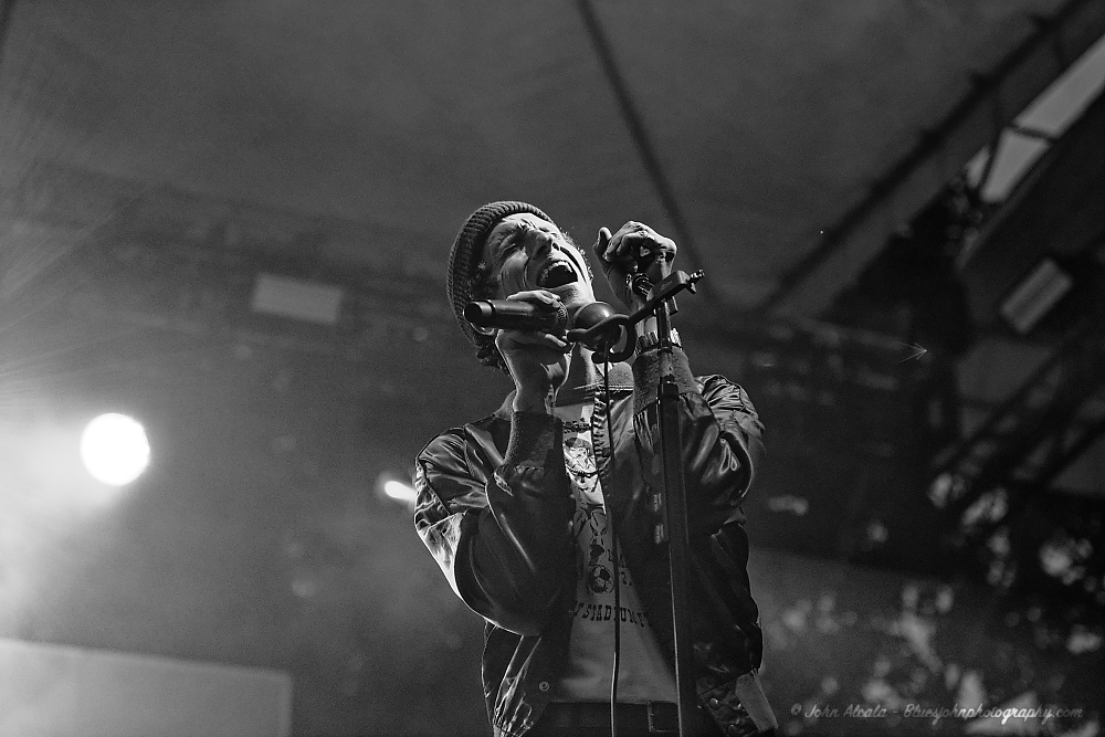 The Revivalists, Tom McCall Waterfront Park, photo by John Alcala