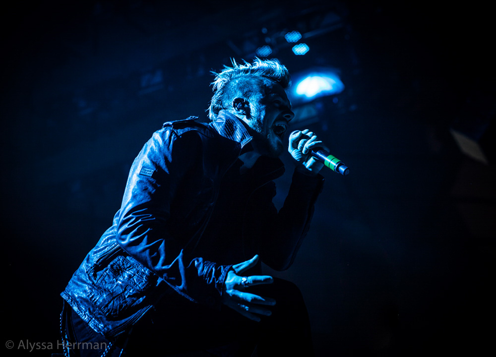 The Raven Age, Tacoma Dome, photo by Alyssa Herrman