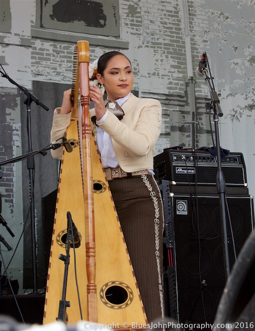 Waterfront Blues Festival, Tom McCall Waterfront Park, photo by John Alcala