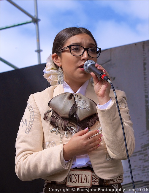 Waterfront Blues Festival, Tom McCall Waterfront Park, photo by John Alcala