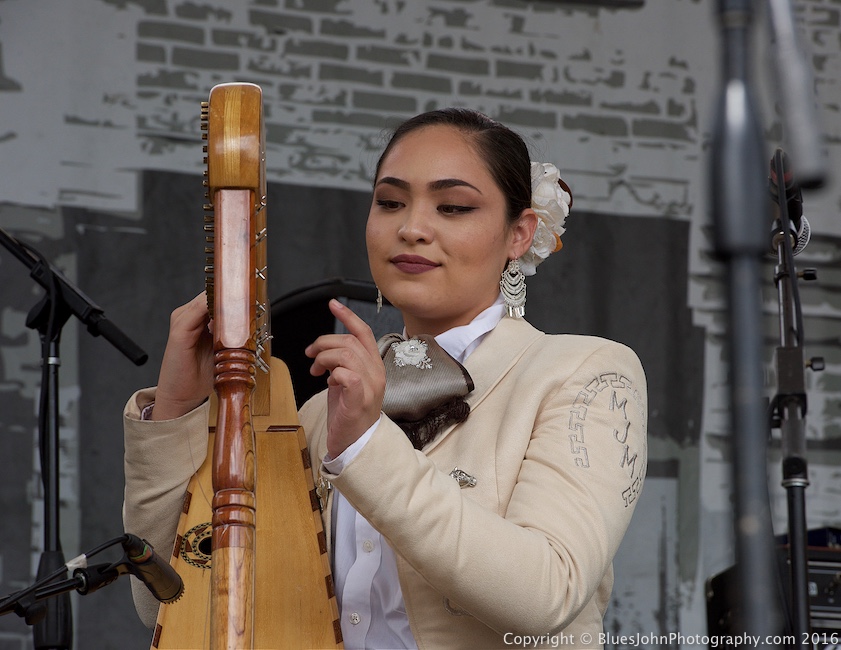 Waterfront Blues Festival, Tom McCall Waterfront Park, photo by John Alcala