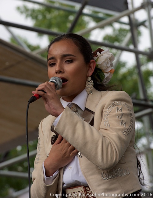 Waterfront Blues Festival, Tom McCall Waterfront Park, photo by John Alcala