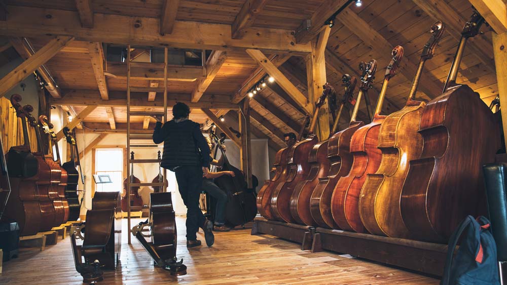 The Brothers Comatose, photo by Jessie McCall