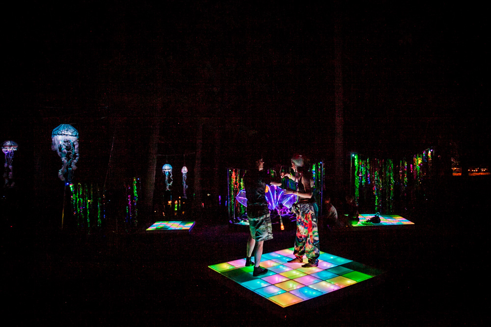 What The Festival, photo by Tojo Andrianarivo