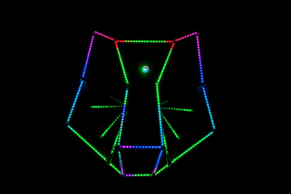 What The Festival, photo by Tojo Andrianarivo