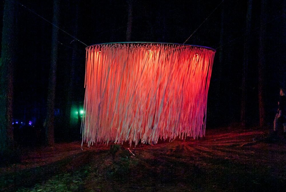 What The Festival, photo by Tojo Andrianarivo