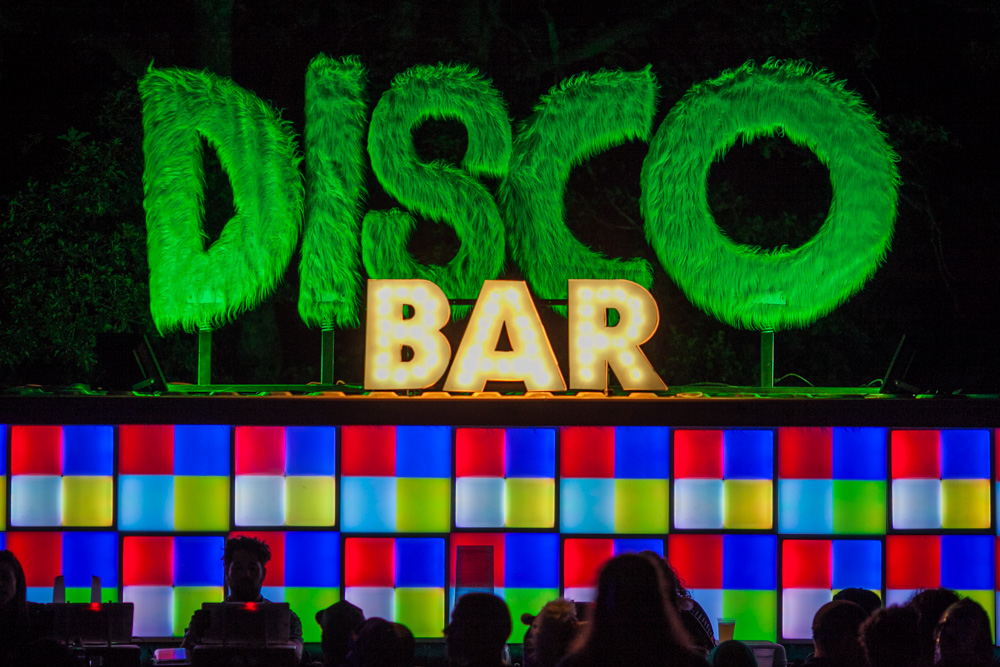 What The Festival, photo by Tojo Andrianarivo