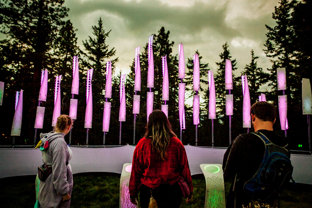 What The Festival, photo by Tojo Andrianarivo