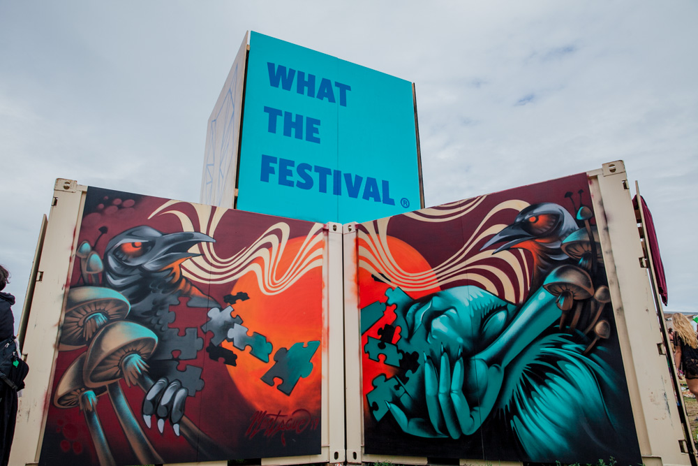 What The Festival, photo by Tojo Andrianarivo