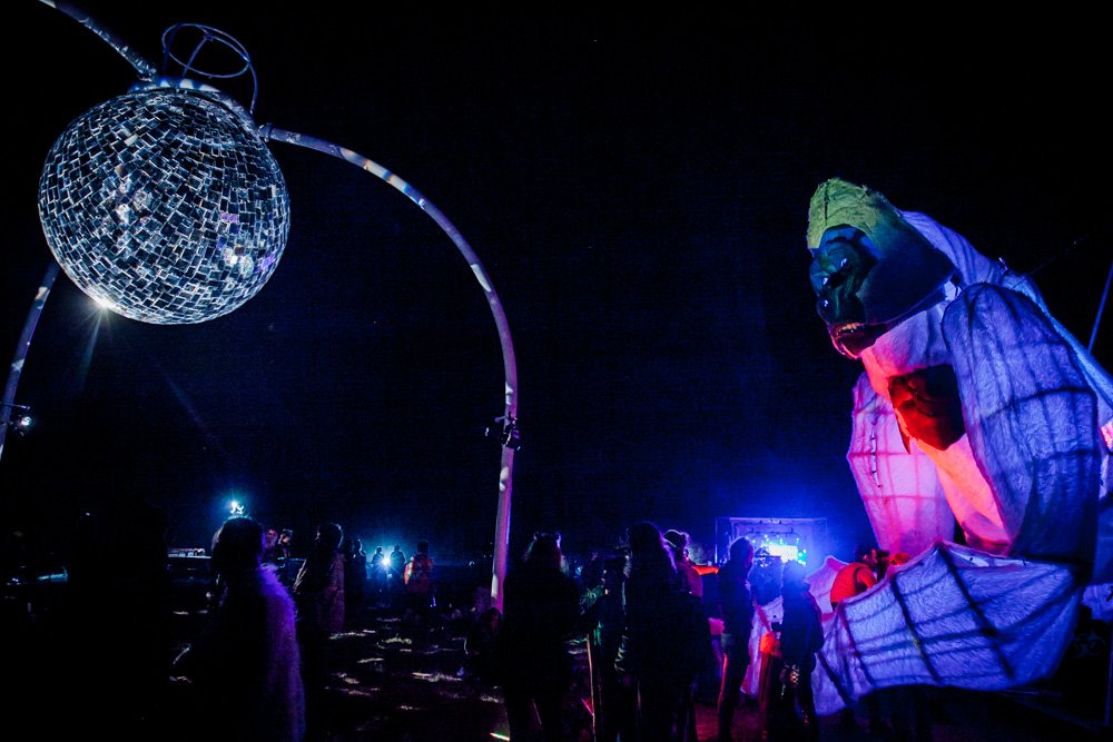 What The Festival, photo by Tojo Andrianarivo