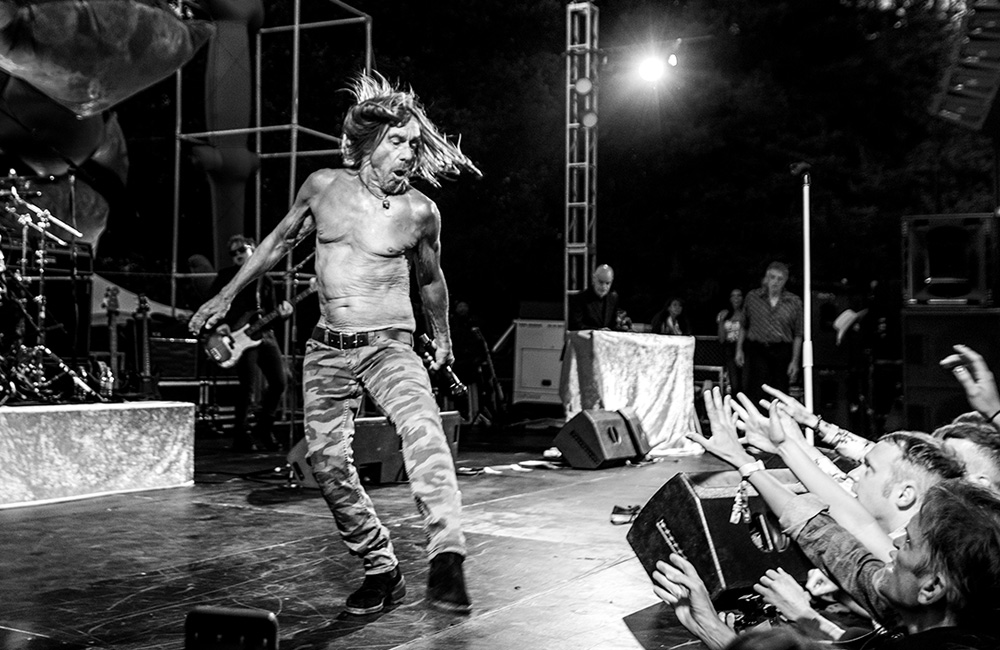 Iggy Pop, Burger Boogaloo, photo by Autumn Andel