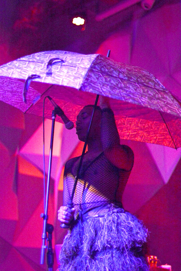 Maarquii, Holocene, photo by Brendon Quinn