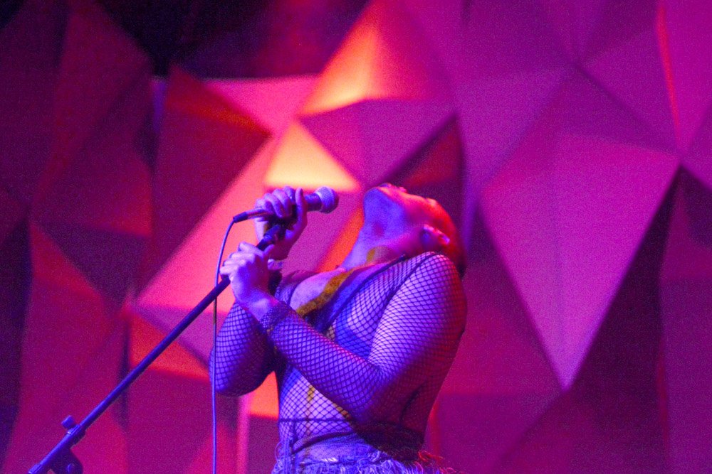 Maarquii, Holocene, photo by Brendon Quinn