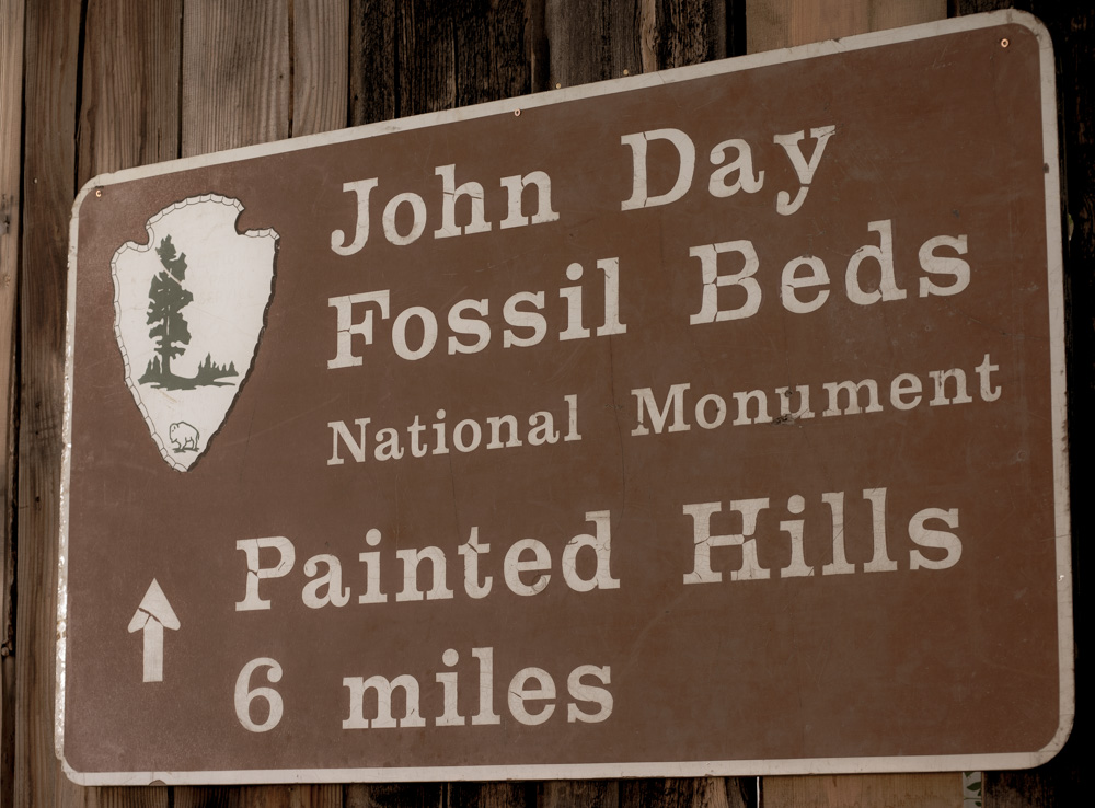 Crawfest, photo by Chad Lanning