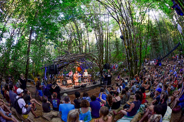 The Woods Stage at Pickathon: Photo by Anthony Pidgeon