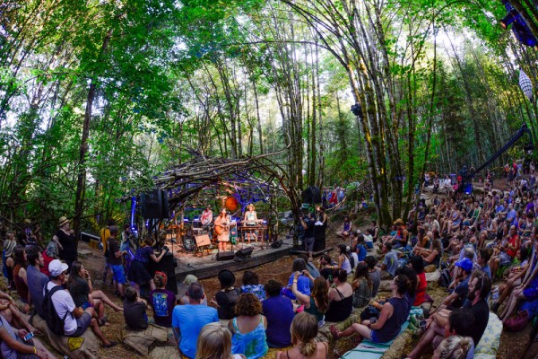 The Woods Stage: Photo by Anthony Pidgeon