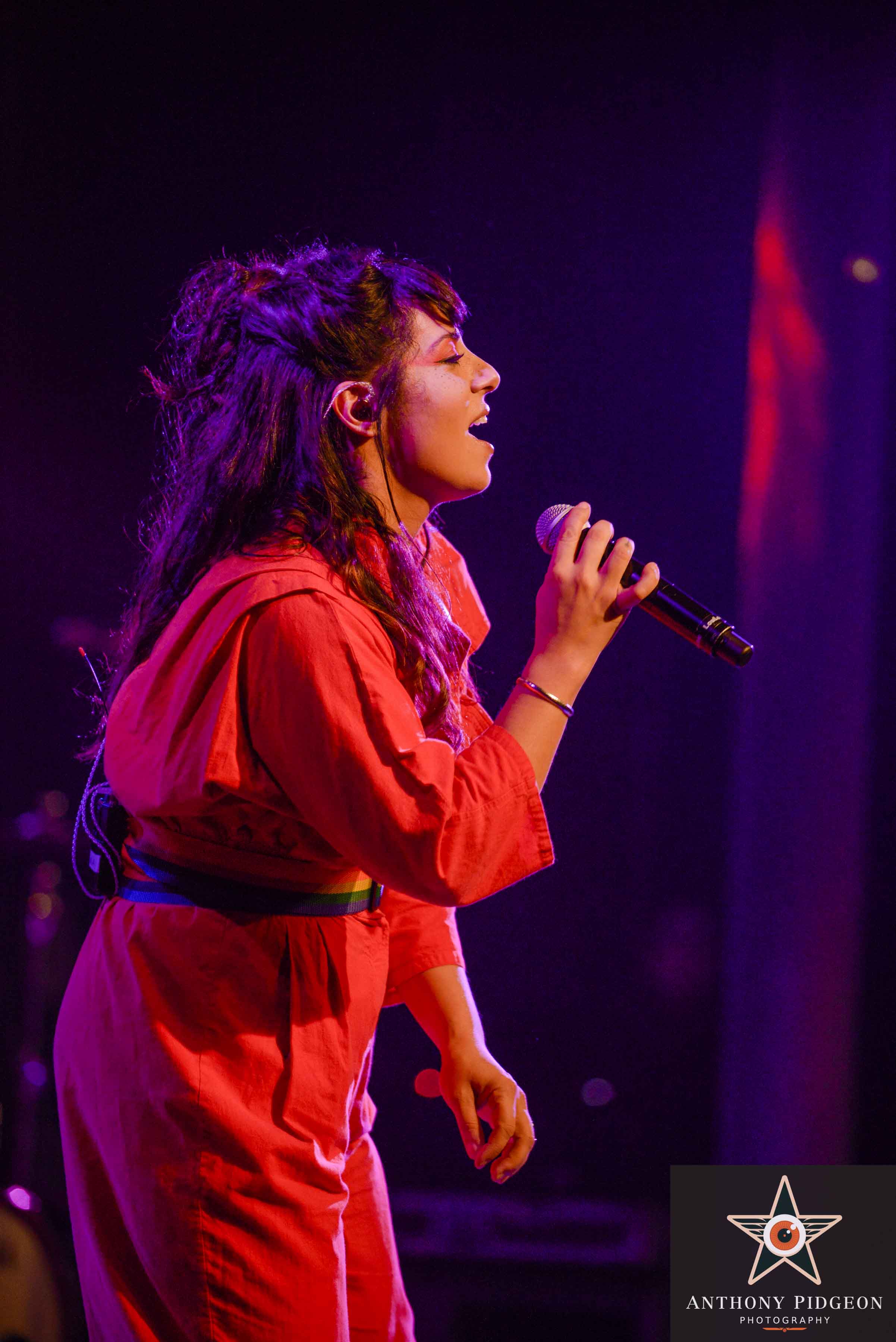 Thievery Corporation, Roseland Theater, photo by Anthony Pidgeon