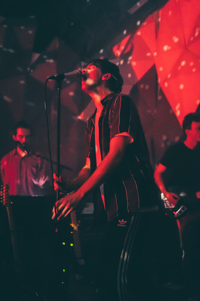 Roosevelt, Holocene, photo by Andrew Wallner