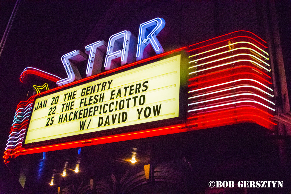 The FleshEaters, The Lovesores, Star Theater, photo by Bob Gersztyn