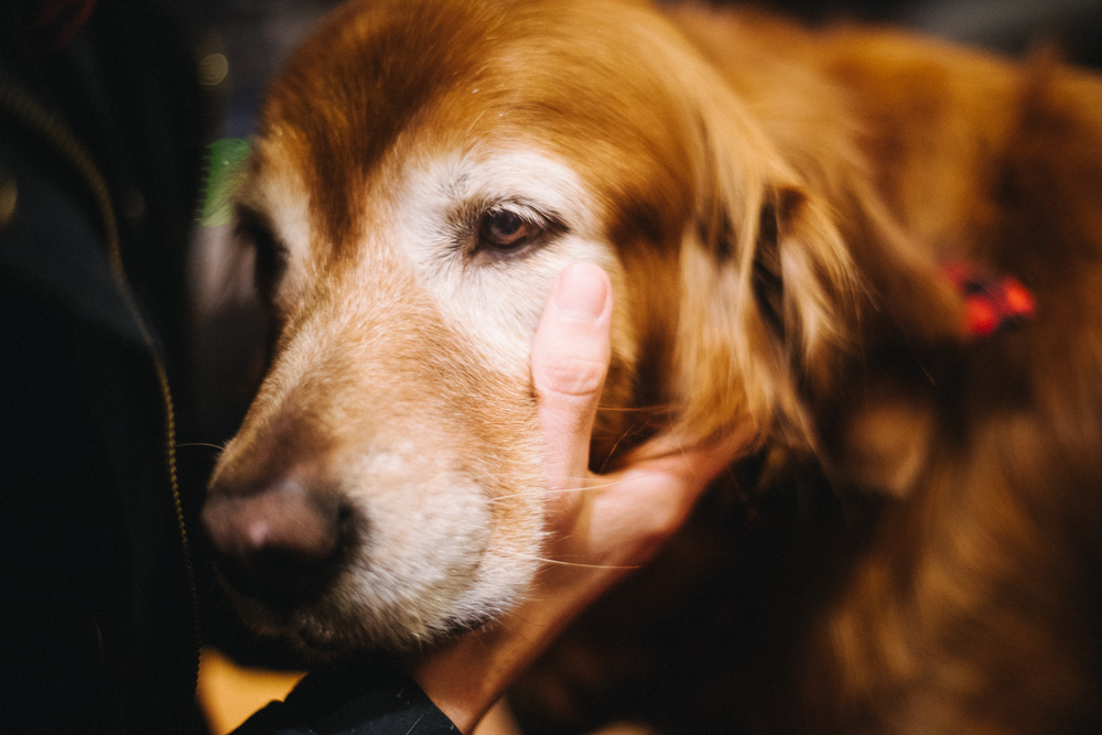 Blue Heron Studio, Jason Quigley Photography, photo by Jason Quigley