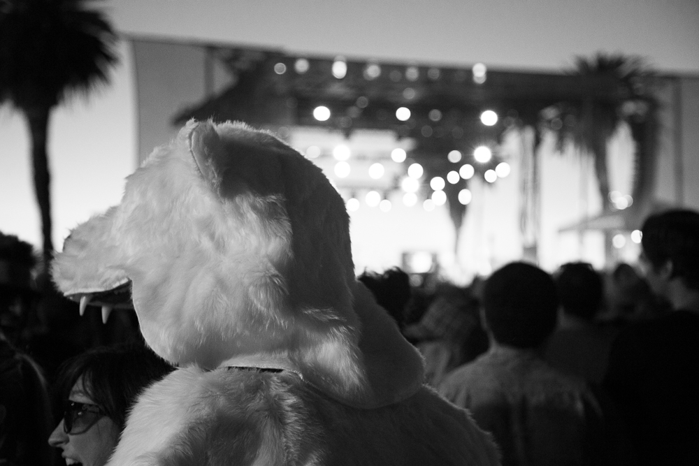 Treasure Island Music Festival, photo by Matt Ellis