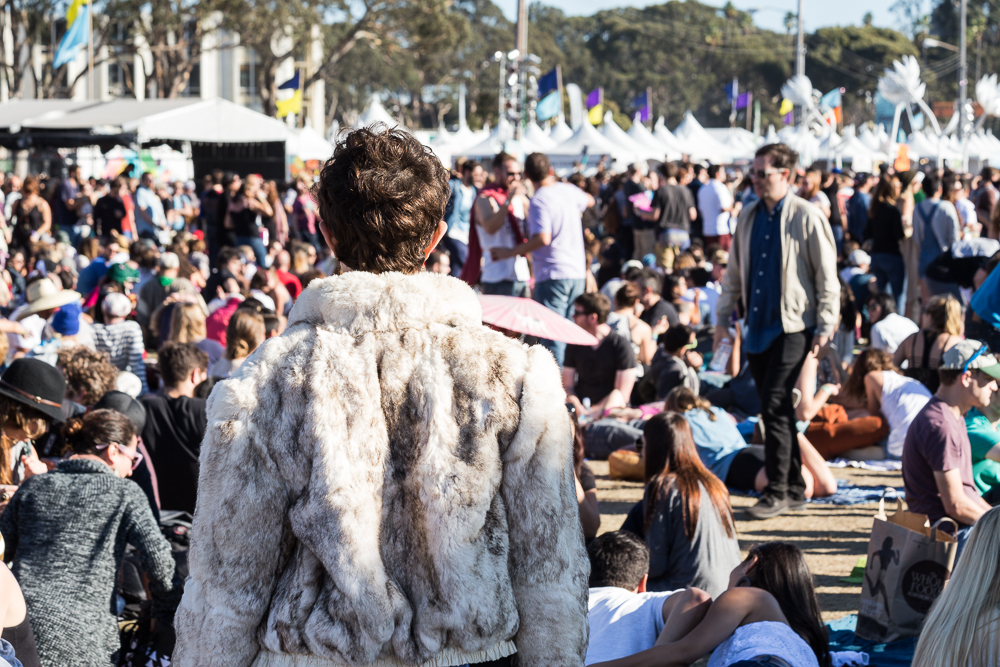 Treasure Island Music Festival, photo by Matt Ellis