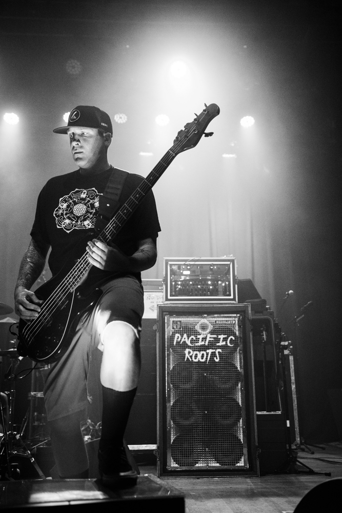 Pacific Roots, Aladdin Theater, photo by Joe Bitters