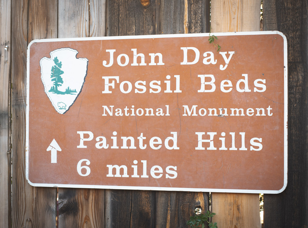 photo by Chad Lanning